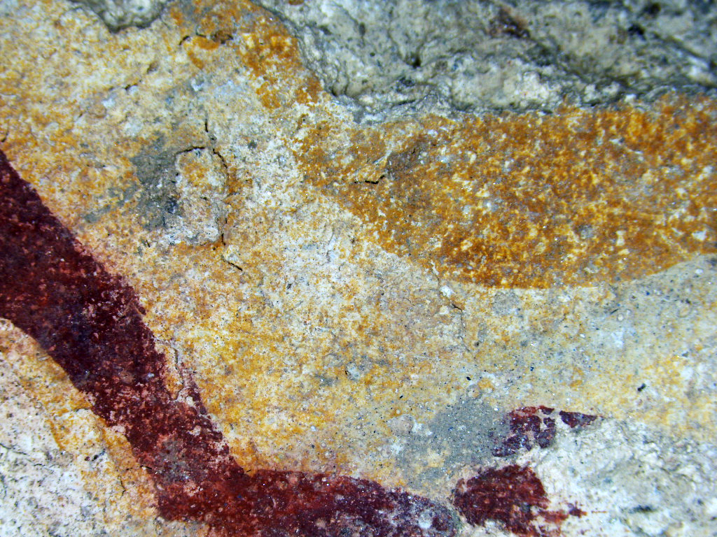 artMAP: Innovative analytical methodology for in-situ identification ...